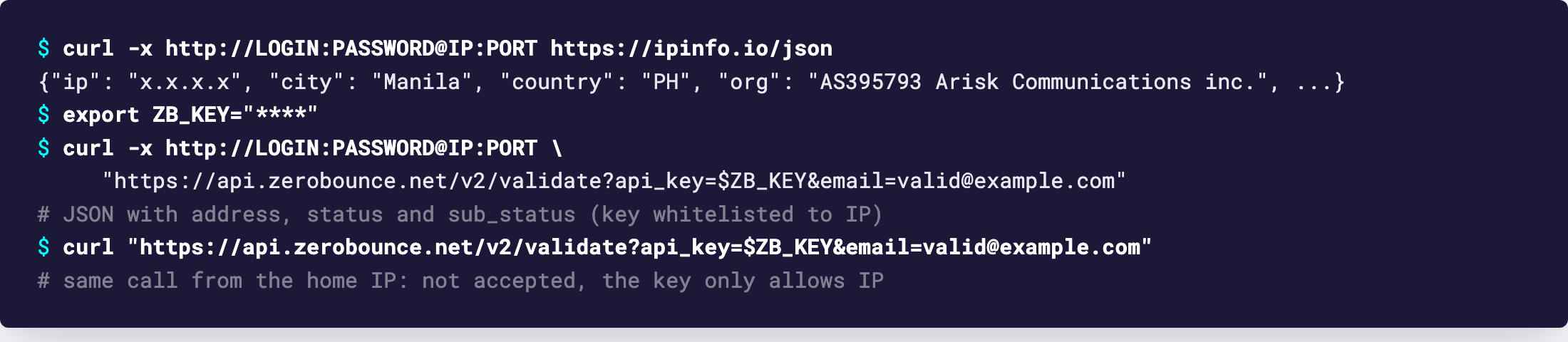 Terminal: curl through the proxy shows the proxy IP, then the ZeroBounce validate endpoint returns a JSON status for the address