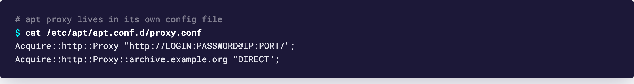 Терминал показывает файл из apt.conf.d с опцией Acquire::http::Proxy и адресом GeekProxy